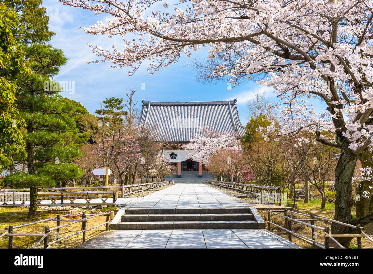 Kyoto, Giappone a Chishaku-in tempio nella stagione primaverile. Foto Stock