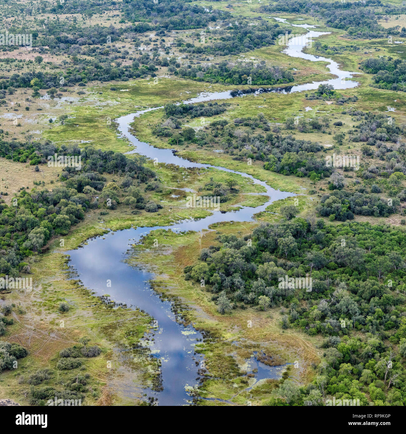 Vista aerea del fiume Khwai, Okavango Delta, Botswana, Africa Foto Stock