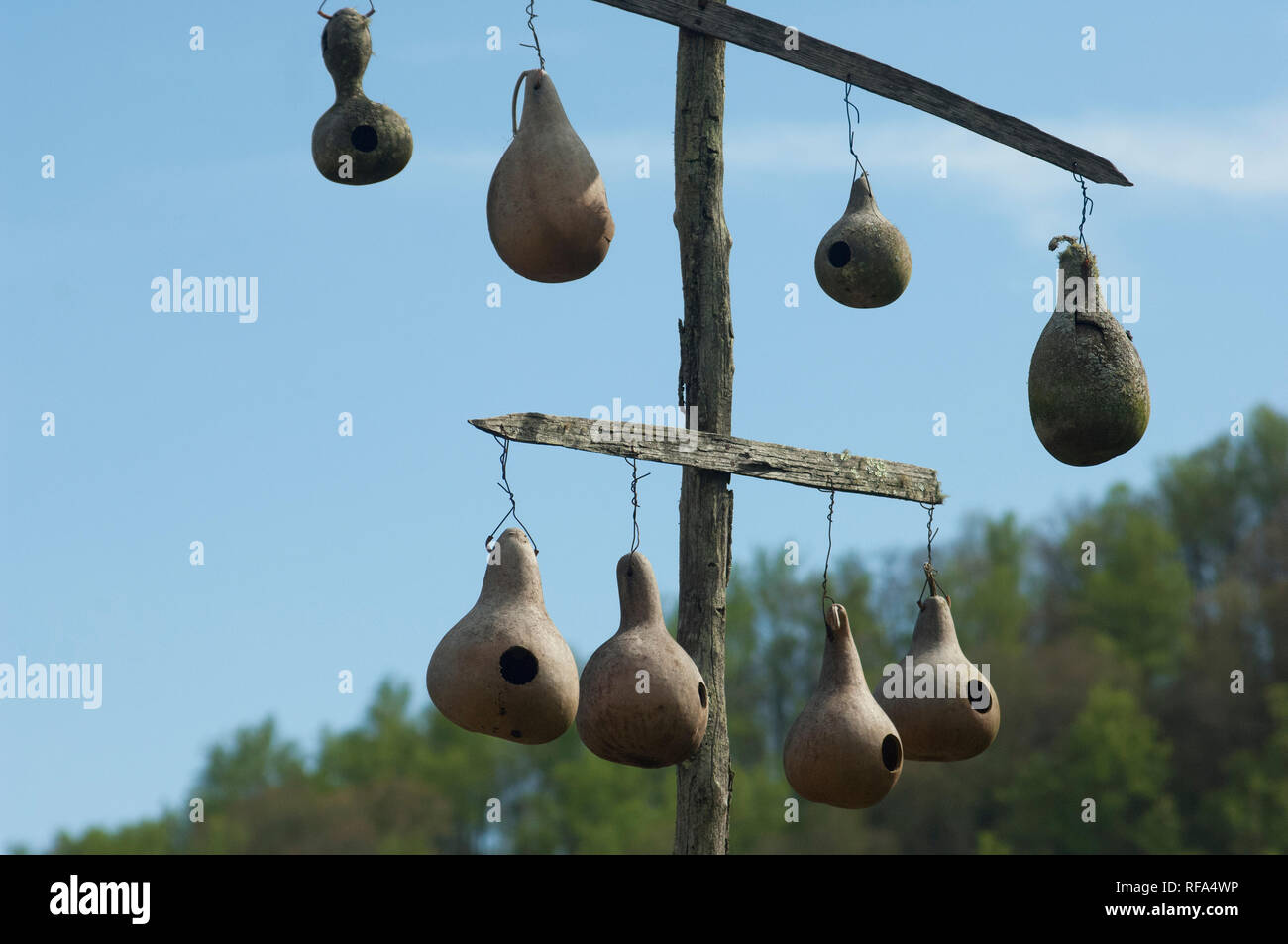 Birdhouses fatta di zucche, Great Smokey Mountains National Park, il confine della NC e TN. Fotografia digitale Foto Stock