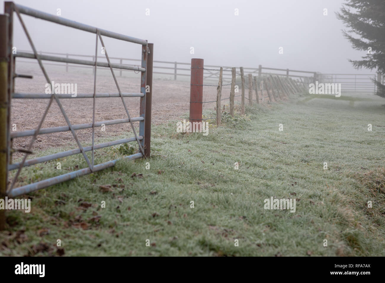 Rurale scena invernale frosty misty foggy recinzione e la linea di gate Foto Stock