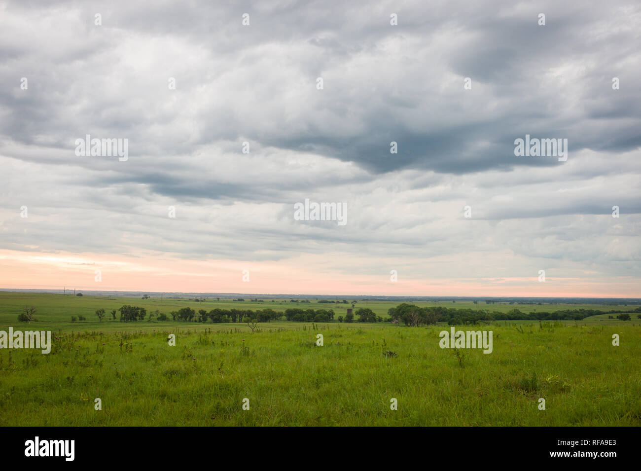 Flint Hills nell est del Kansas, Stati Uniti d'America, sono alcuni dei più intatti tallgrass prairie ecosistemi, mai solcato dai primi coloni, ancora utilizzati per il pascolo Foto Stock
