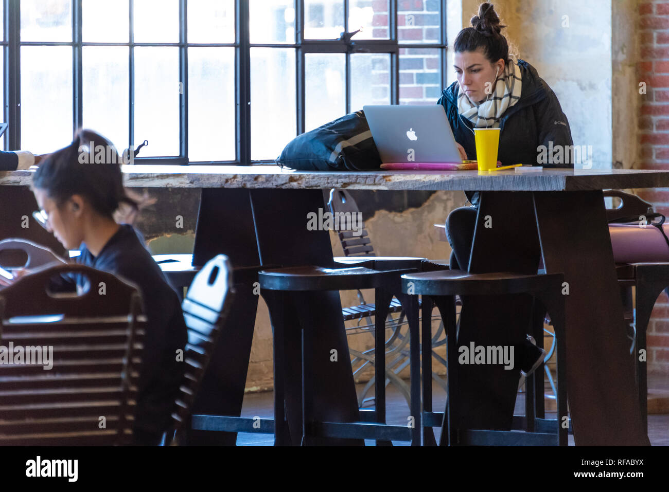 Donna con notebook computer nel Central Food Hall a Ponce città mercato di Atlanta, Georgia. (USA) Foto Stock