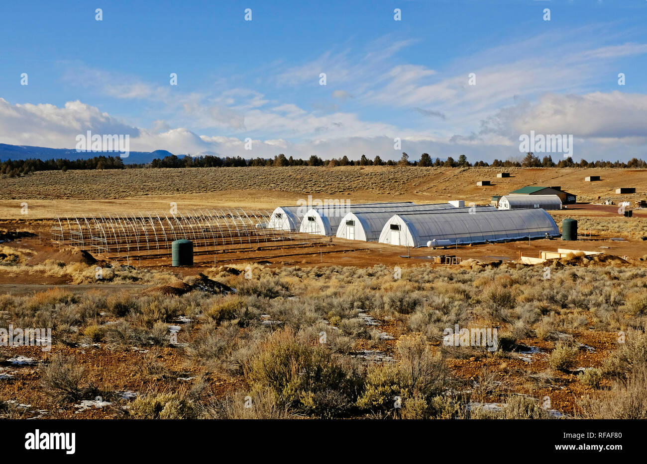 Un grande, legale la marijuana o cannabis fattoria per la coltivazione e la lavorazione sia ricreative che la marijuana medica, vicino Tumalo, Oregon. Le vendite di marijuana sono Foto Stock
