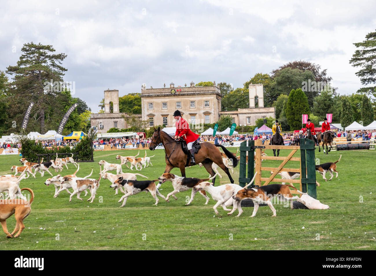 Una sfilata di segugi a Frampton Country Fair 2018 tenutasi a Frampton corte, Frampton on severn, GLOUCESTERSHIRE REGNO UNITO Foto Stock