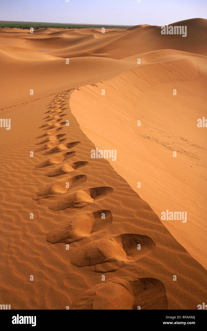 Le dune di sabbia del deserto del Sahara vicino a Mhamid in Marocco. Foto Stock