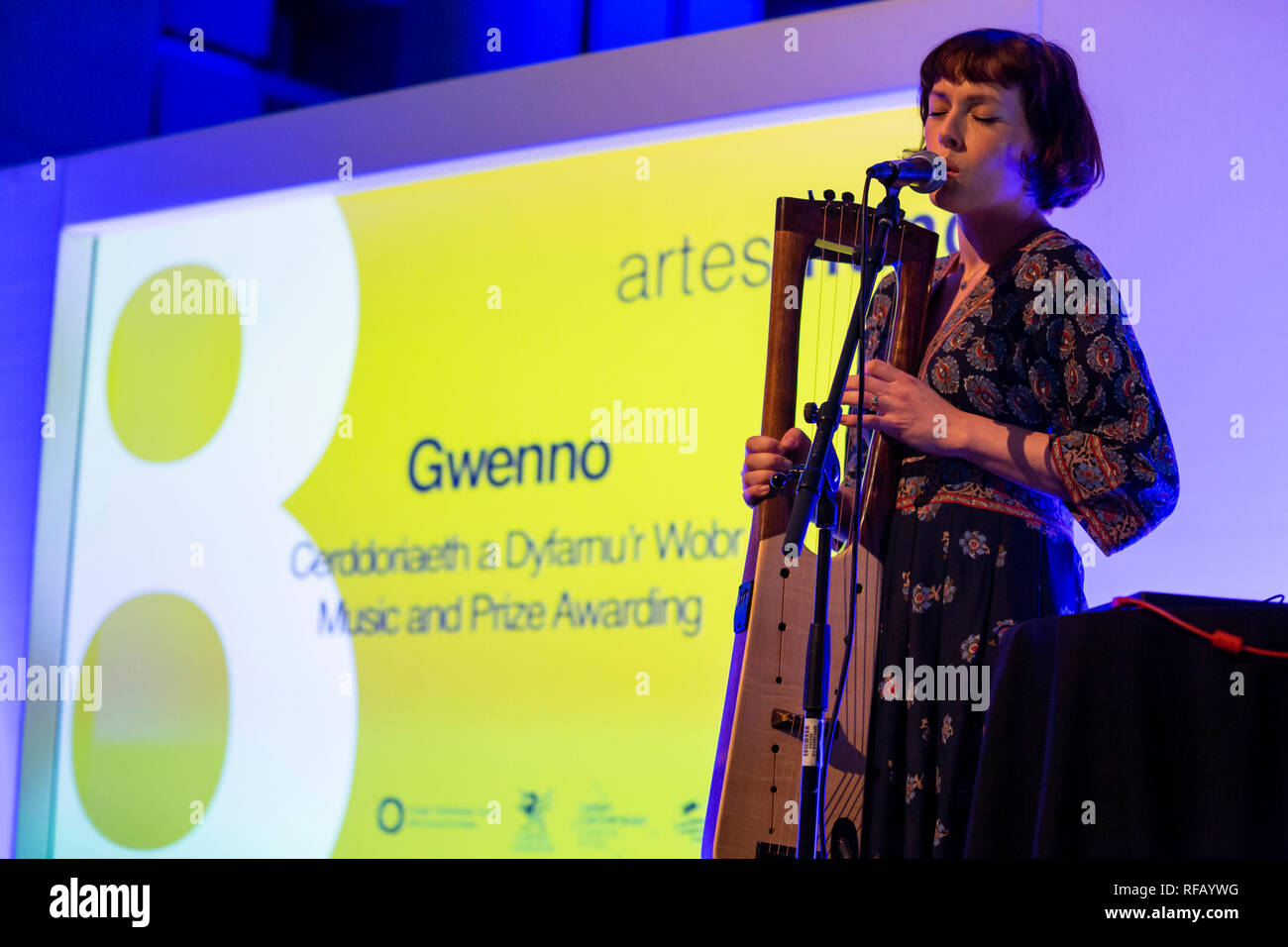 Cardiff, Regno Unito. Il 24 gennaio, 2019. Gwenno canta e suona musica dal vivo presso la Artes Mundi 8 Award. Credito: Ben riso Credit: Ben riso/Alamy Live News Foto Stock