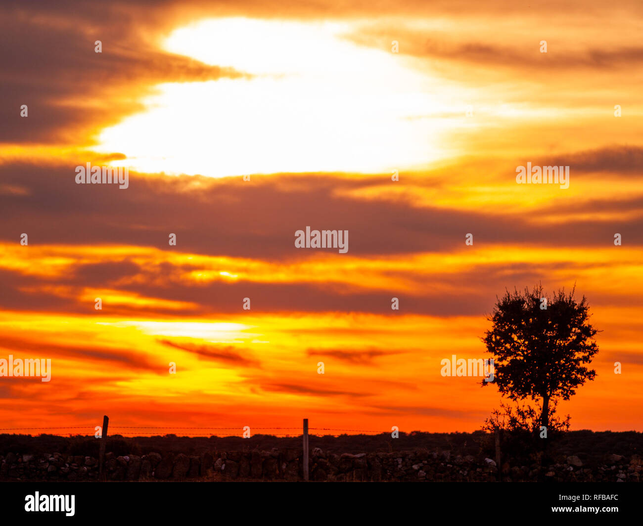 Romantico cielo arancione al tramonto in un giorno nuvoloso in la dehesa e silhouette di albero Foto Stock