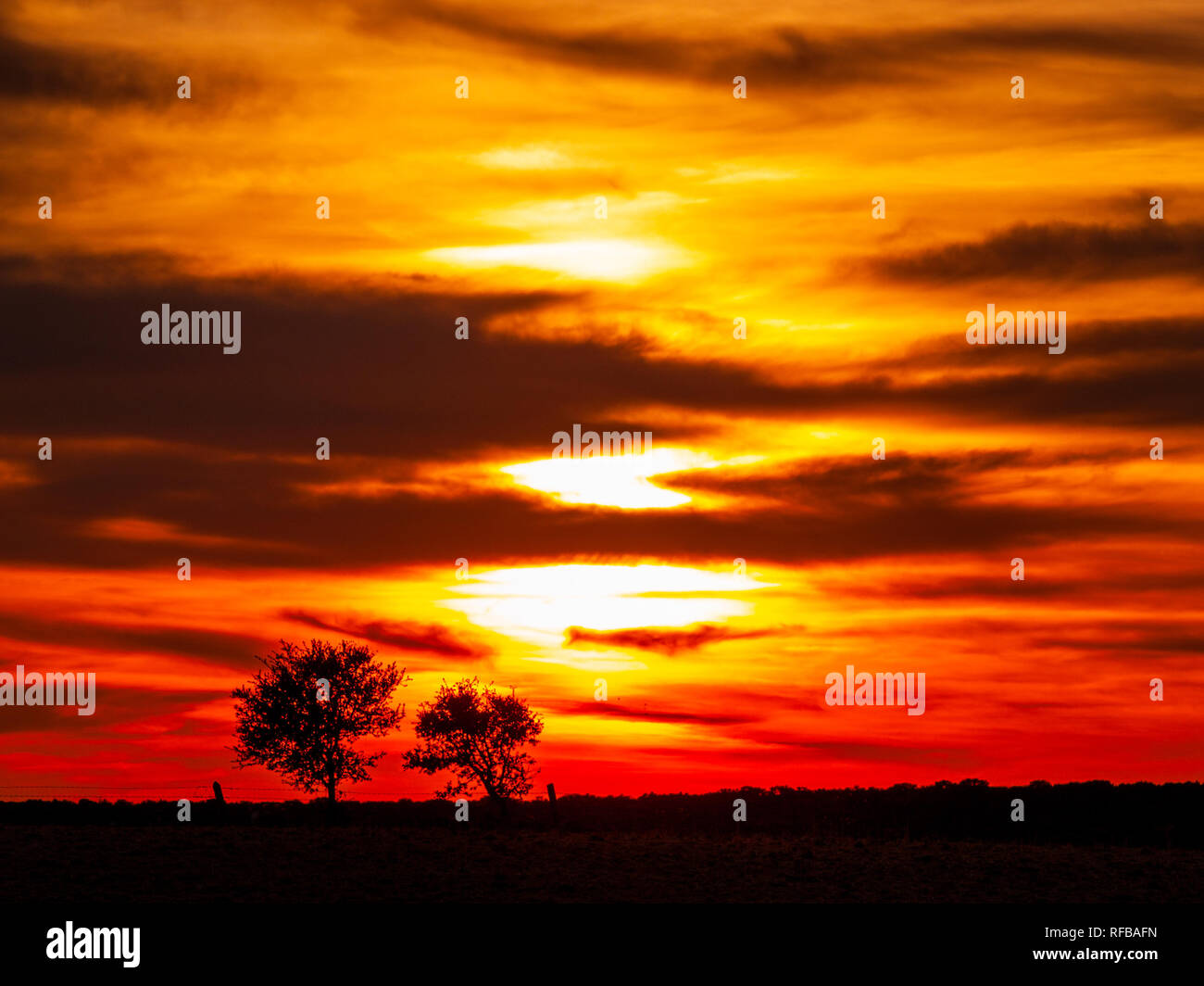 Romantico cielo arancione al tramonto in un giorno nuvoloso in la dehesa e silhouette di albero Foto Stock