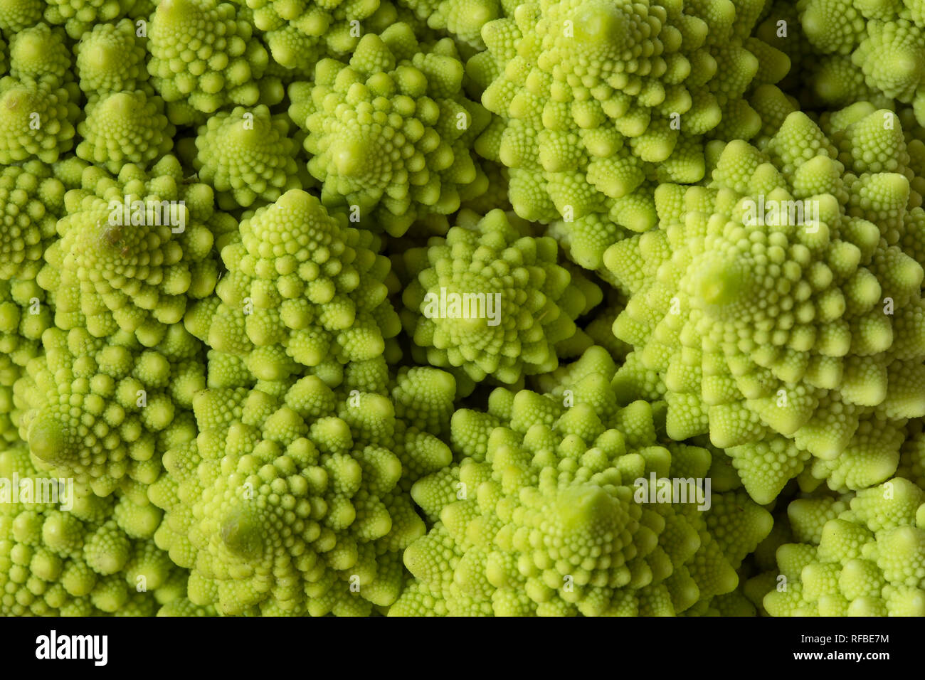 Romanesco broccoli close up Foto Stock