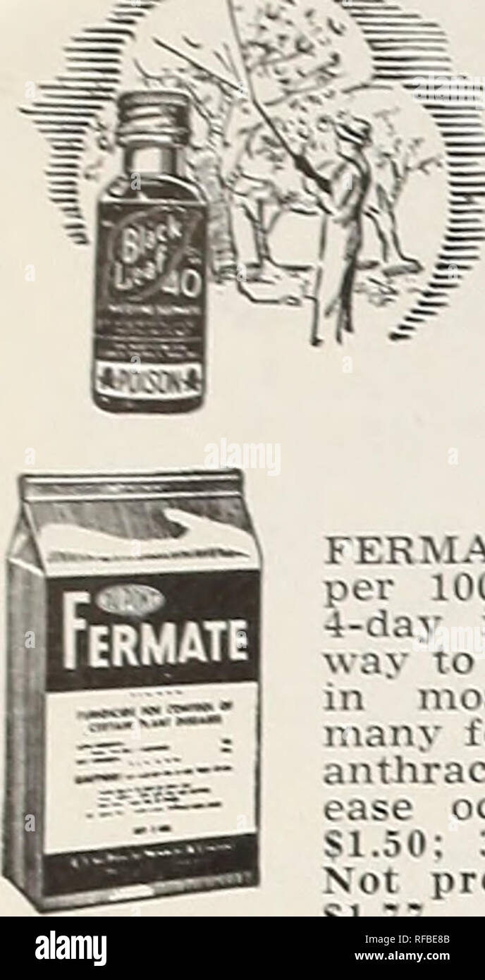 . [Catalogo] : la primavera 1963. Vivai (orticoltura) North Carolina Raleigh cataloghi; vivaio North Carolina Raleigh cataloghi; semi North Carolina Raleigh cataloghi; lampadine (piante) North Carolina Raleigh cataloghi; Verdure North Carolina Raleigh cataloghi; GIARDINAGGIO Nort. I pesticidi BLACK-LEAF-40 (solfato di nicotina.), la nuova formulazione attivato- .==- . la. Eccellente lor uccidendo afidi, thrip. aspirare insetti, leat - tramogge, e pollame-pidocchi. Da 1 a 3 cucchiai per gallone, 2 07. bottiglia SI.29: 6 oz. bottiglia S2.84; 12 oz. bot- tle S4.13. postpagato. Non prepagata. 2 oz. $1.19: 6 oz. S2.69: 12 oz. $3.98 Foto Stock