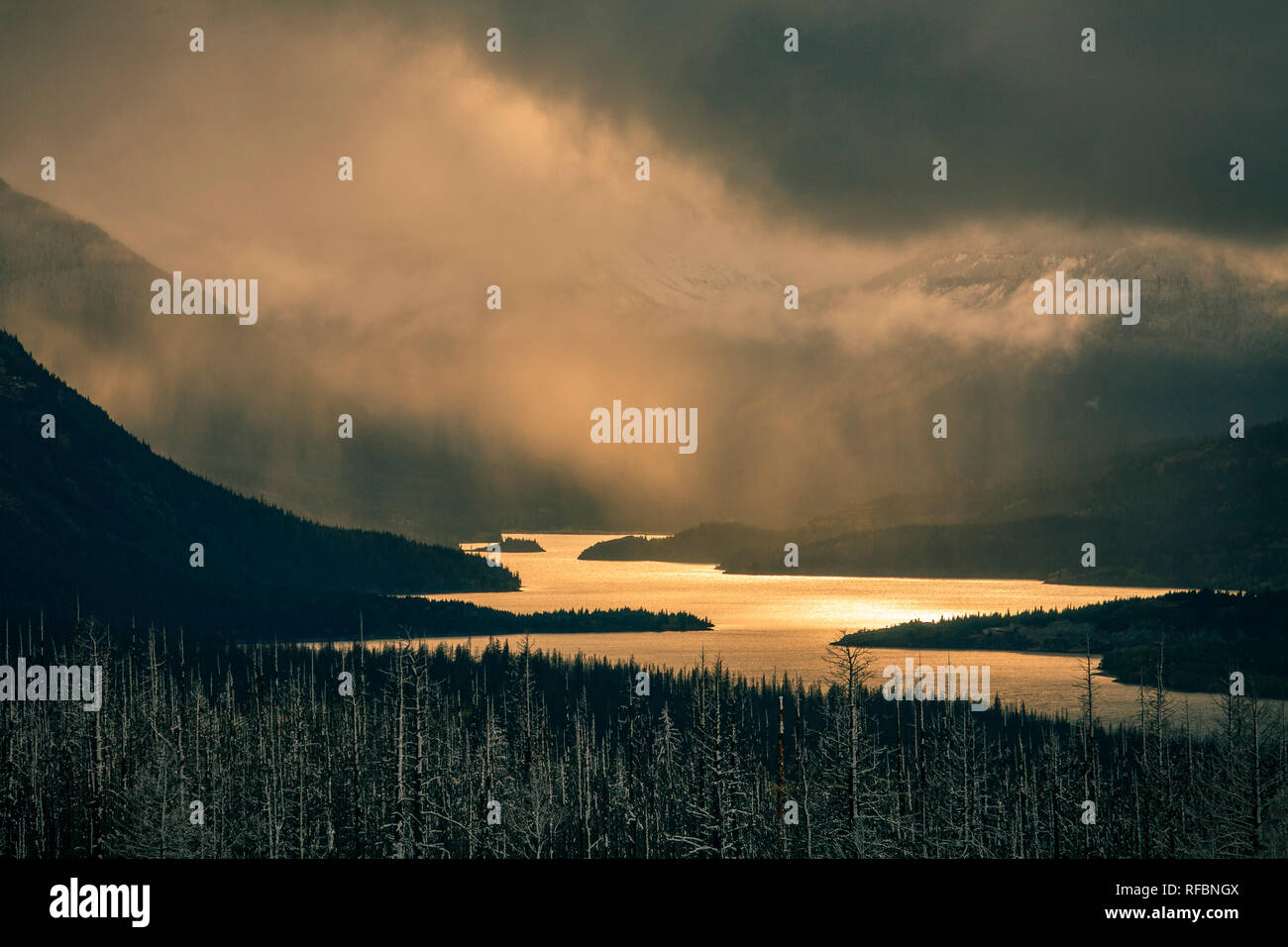 Tempesta di neve su St Marys Lago Glacier National Park Montana. Foto Stock