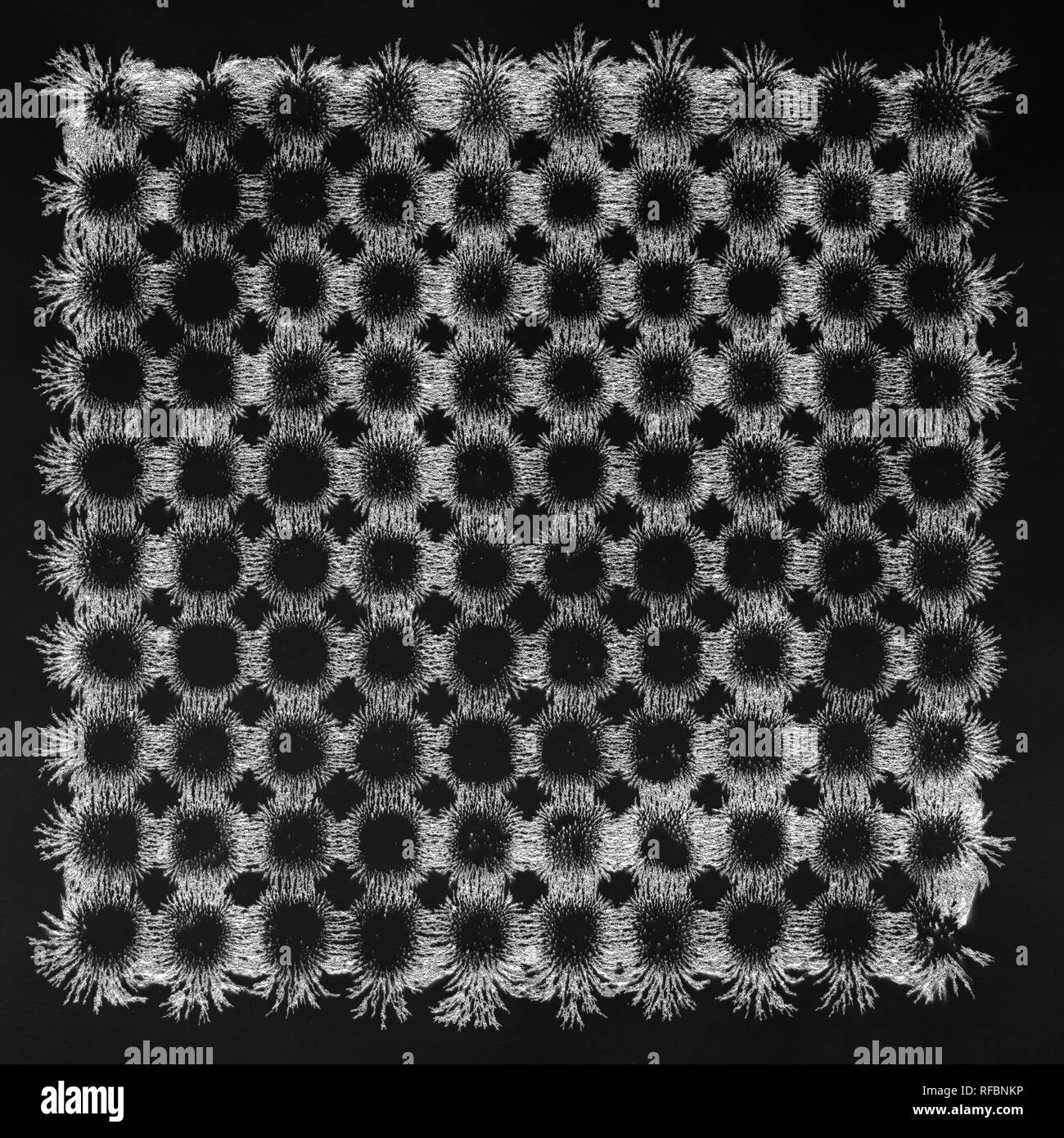 I campi magnetici si vede dalle linee di flusso magnetico generate da potenti magneti al neodimio flusso di creazione di forme e modelli di Ferromagnetism Foto Stock