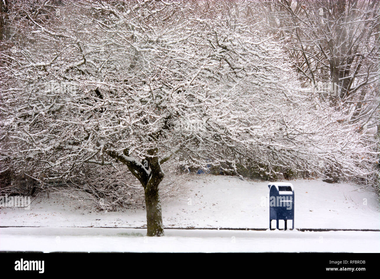 In attesa della cassetta postale per le lettere a depositare in una tempesta di neve Foto Stock