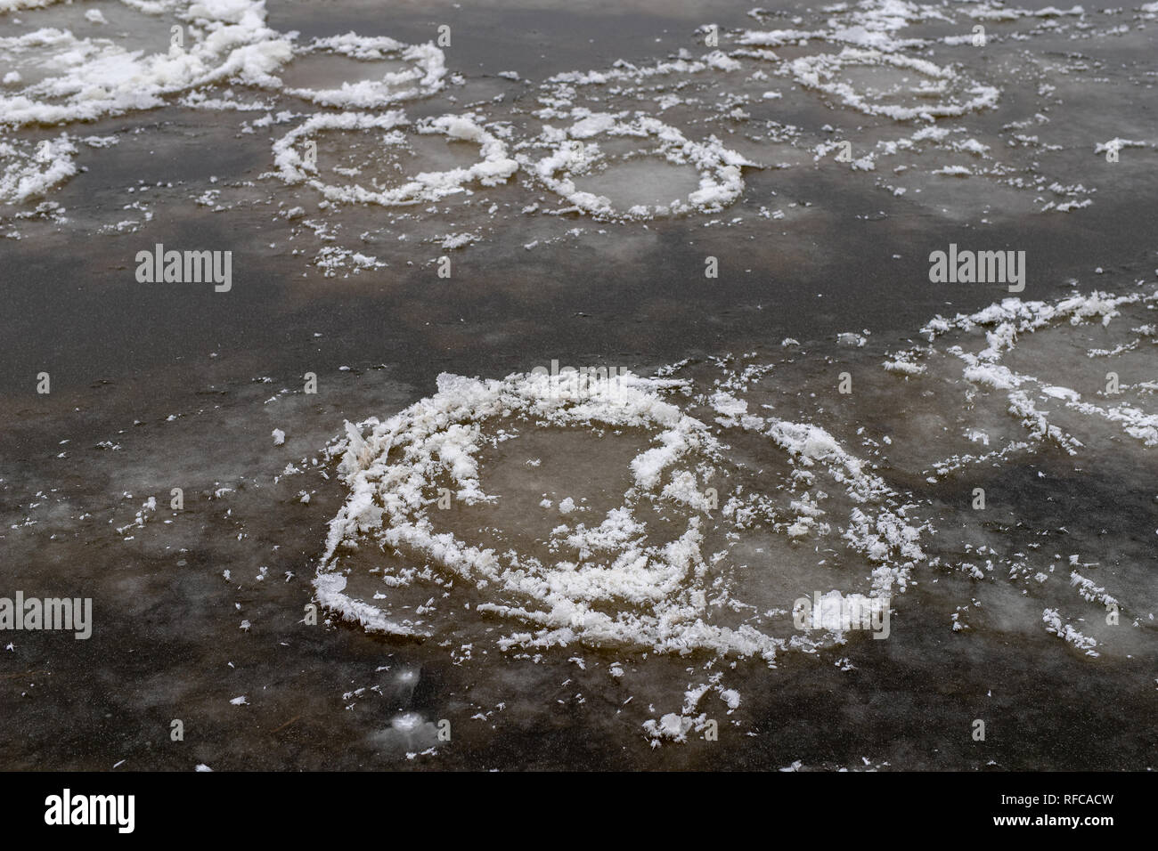 Ghiaccio su un grande fiume. Un kra congelato sulla superficie dell'acqua nel letto del fiume. Stagione invernale. Foto Stock