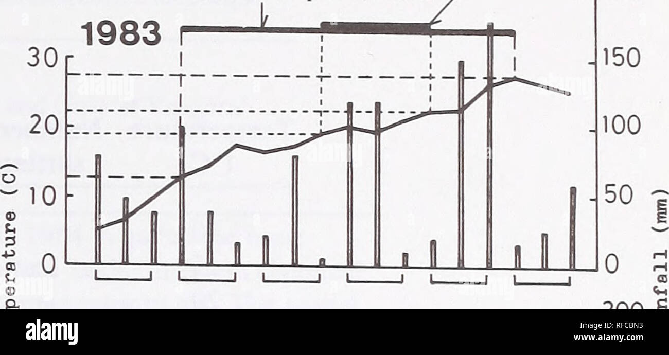 . Recenti ricerche sulle malattie del fogliame : conference proceedings : Carlisle, Pennsylvania, 29 maggio-giugno 2, 1989. Lascia Malattie e Pesti Stati Uniti congressi. Tabella 1.âSeasonal conidi produzione di Dothistroma septospora periodo di massima produzione conidial Periodo di produzione Conidial / -.200 Data di produzione Stromata grado di conidi di raccolta produzione conidial3'% Dic. 14, 1982 0 25 0 Gen 13, 1983 0 27 0 Feb. 19 0 Mar. 5 0 21 0 apr. 2 45 +  ++ 23 60 +  ++ 2 Maggio 25 + 20 100 ++ GIUGNO 4 100 ++ 21 100 H -+ luglio 4 100 +  ++ 18 50 H h+ 1 Agosto 25 + 16 0 sett. 3 0 19 0 dic. 14, 1 Foto Stock