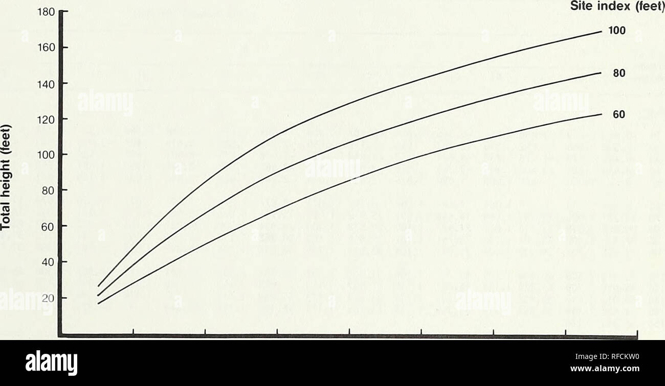 . Indice del sito e altezza e le curve di crescita per non gestita anche in età stand di western la cicuta e Sitka Spruce nel sud-est dell Alaska. Western hemlock Alaska; Sitka Spruce Alaska; la gestione forestale Alaska; Indice del sito (silvicoltura) Alaska. Confronto di trentuno tenute nel 1977 campione conteneva western la cicuta e Sitka Spruce indici del sito Sito di alberi. Per questi lotti, il rapporto tra indice del sito delle due specie Western Hemlock wag. e Sitka Spruce Hemlock Indice del sito = 24,41 + 0.674 (indice del sito di Sitka Spruce)-dove la stan- dard errore è stato 1,22, e il coefficiente di determinazione (r2) Foto Stock