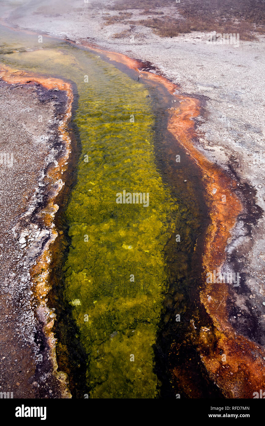 WYOMING - alghe colorate e minerali sul deflusso da una fonte calda a Biscuit Basin, parte dell'Upper Geyser Basin del Parco Nazionale di Yellowstone. Foto Stock