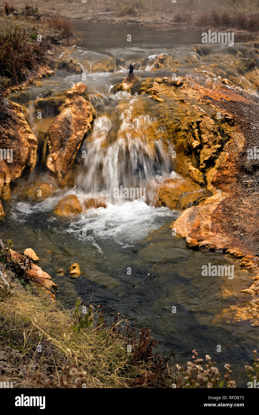 WY02958-00...WYOMING - Imperiale Creek in basso Geyser Basin area del Parco Nazionale di Yellowstone. Foto Stock