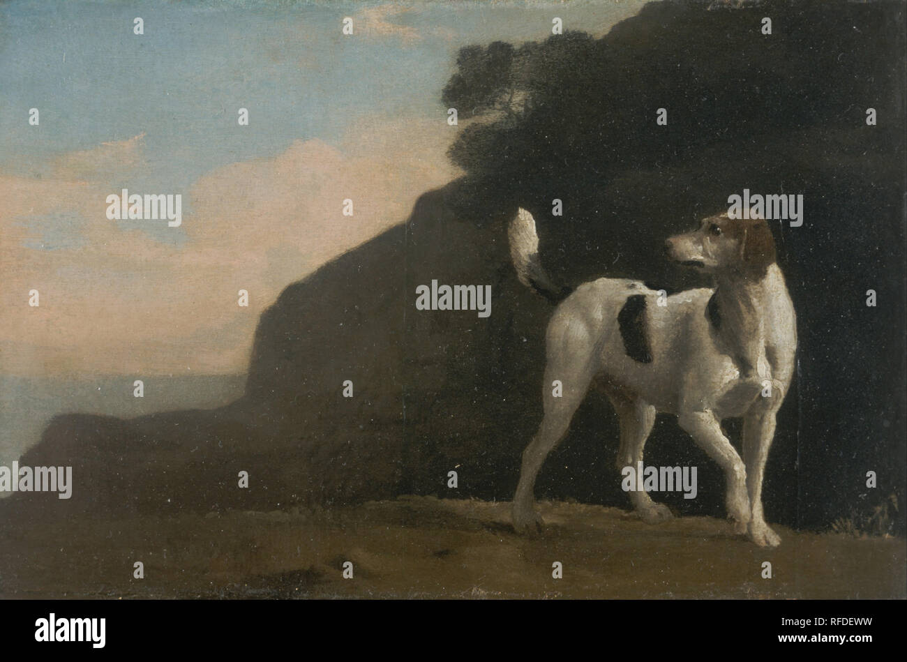 Foxhound. Data/Periodo: ca. 1760. La pittura. Olio su carta prevista sul bordo. Altezza: 146 mm (5.74 in); larghezza: 222 mm (8,74 in). Autore: George Stubbs. Foto Stock