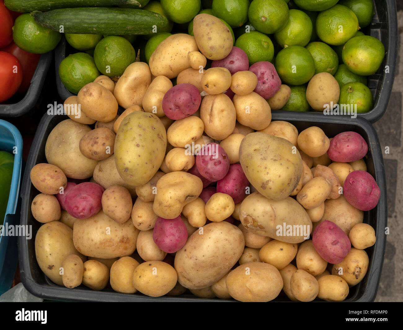 Produrre in un piccolo mercato biologico, di stallo in San Miguel De Allende, Messico centrale. Foto Stock