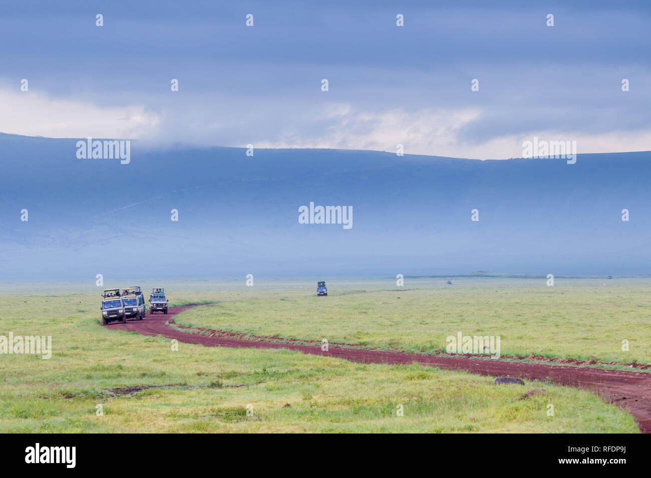 Il cratere di Ngorongoro, antica caldera vulcanica e uno dell'Africa la maggior parte delle magnifiche aree faunistiche, fa parte della riserva naturale di Ngorongoro, Tanzania Foto Stock