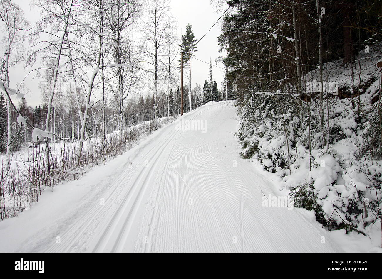 Sci di fondo in un freddo e nevoso inverno giorno in Dalarna,Svezia. Foto Stock