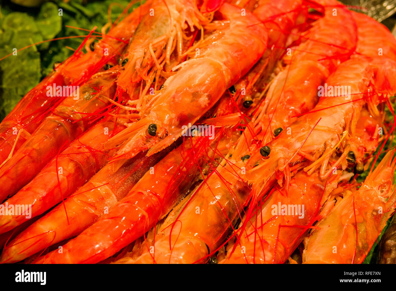 Gamba di gamberi (Aristeidae) sono venduti all'interno del Mercat de Sant Josep de la Boqueria, un mercato pubblico con un ingresso da La Rambla Foto Stock