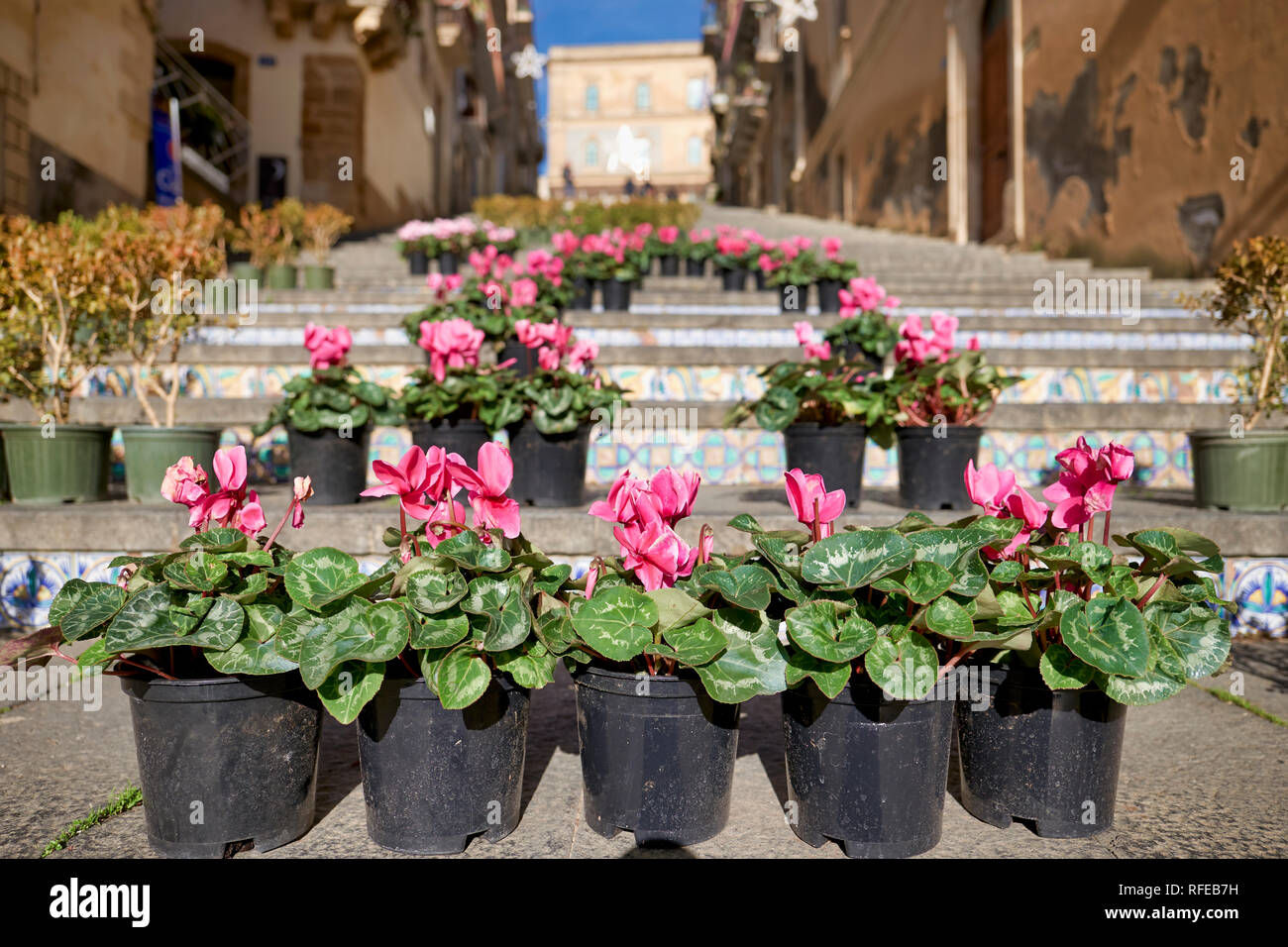 La Scalinata di Santa Maria del Monte (la Scala Santa Maria del Monte). Catlagirone Sicilia Italia Foto Stock
