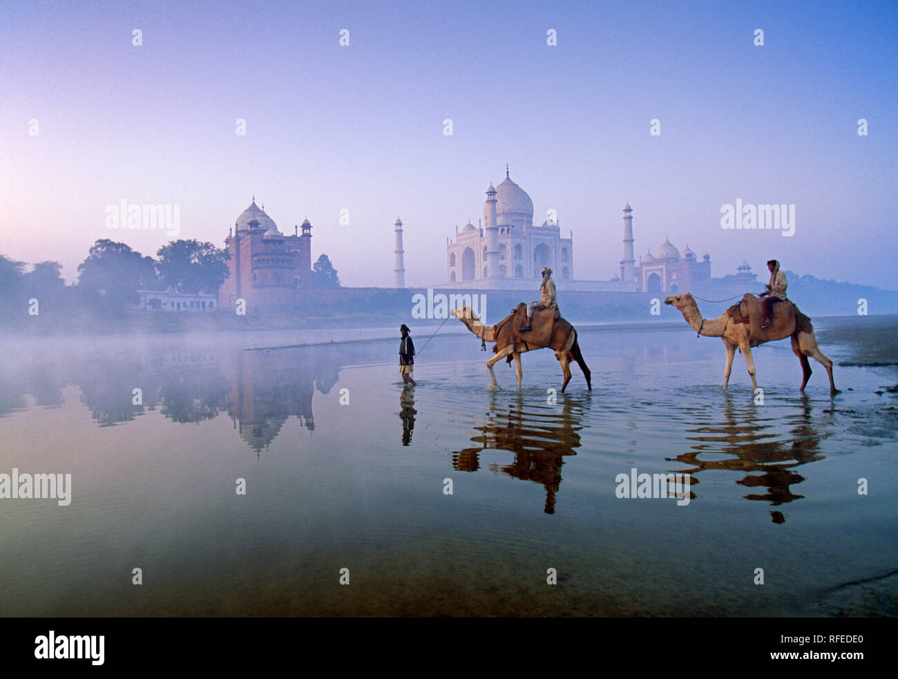India. Agra.Taj Mahal. Mausoleo. Islamica architettura di Mughal. Persone e cammelli Attraversamento fiume Yamuna. All'alba. Unesco World Heritage Site. Foto Stock