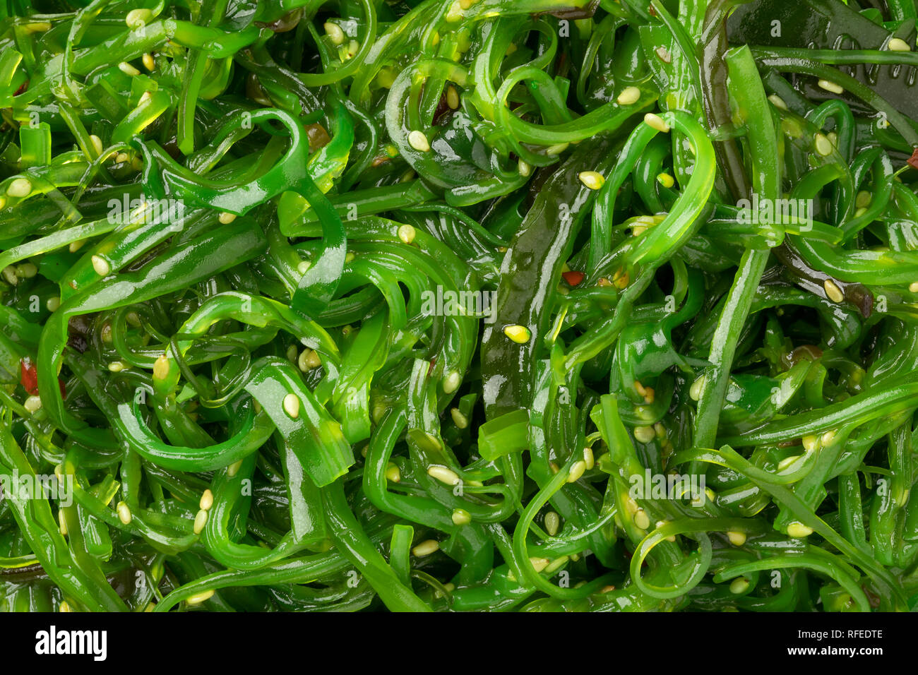 Organico verde giapponese insalata Waskame full frame close up Foto Stock