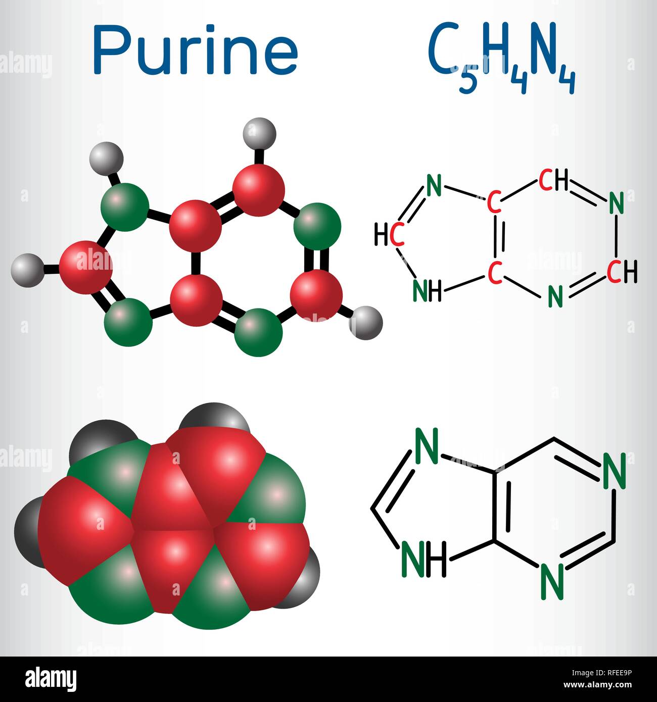 Molecola di purina, è un gruppo aromatico eterociclico composto organico. Formula chimica di struttura e la molecola modello. Illustrazione Vettoriale Illustrazione Vettoriale