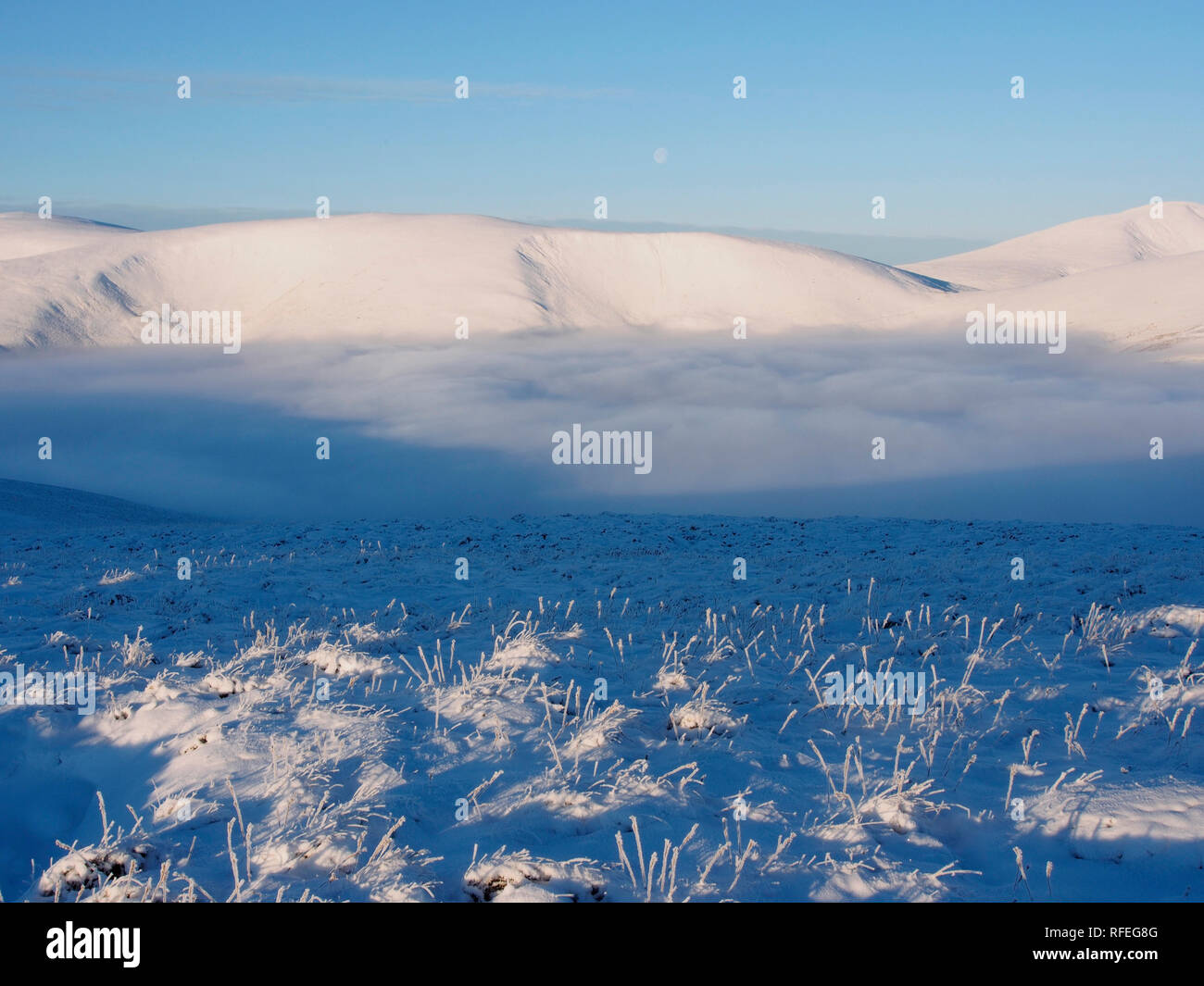 Inversione di cloud da un snowy Nether Oliver Dod, vicino Tweedsmuir, altipiani del Sud, Scozia Foto Stock