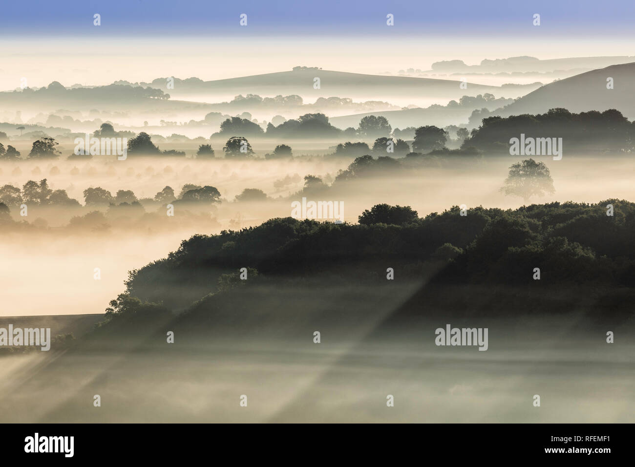 L a Cranborne Chase da CHARLTON DOWN, Wiltshire, Inghilterra Foto Stock