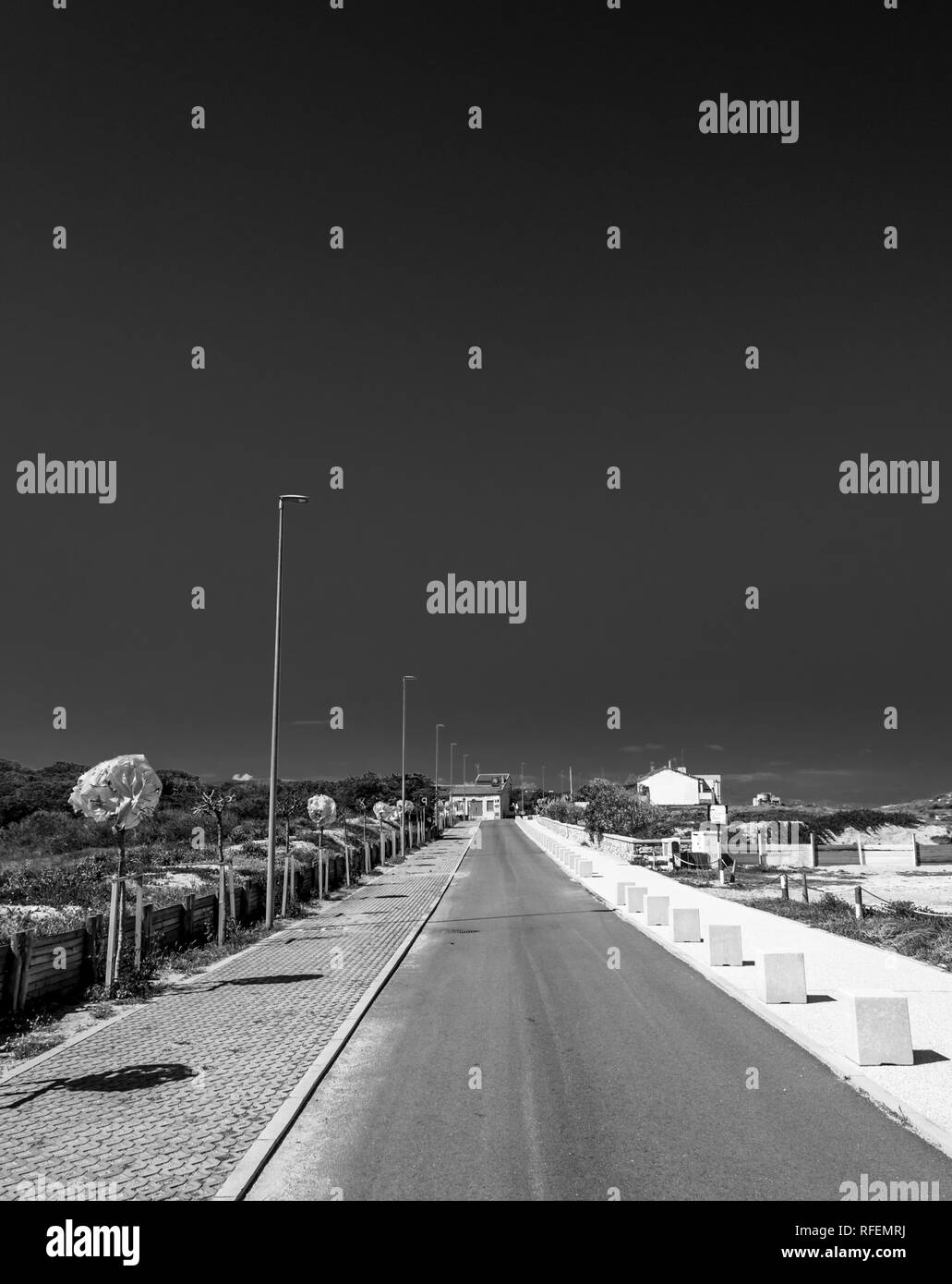 In bianco e nero di strada nel deserto vicino a spiaggia sarda di Platamona, vicino a Porto Torres, in primavera Foto Stock