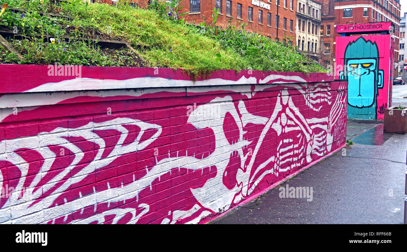 #OutHouseMcr Bee, Stevenson Square, Northern Quarter, Manchester, Inghilterra nord-occidentale, REGNO UNITO, M1 1DN Foto Stock