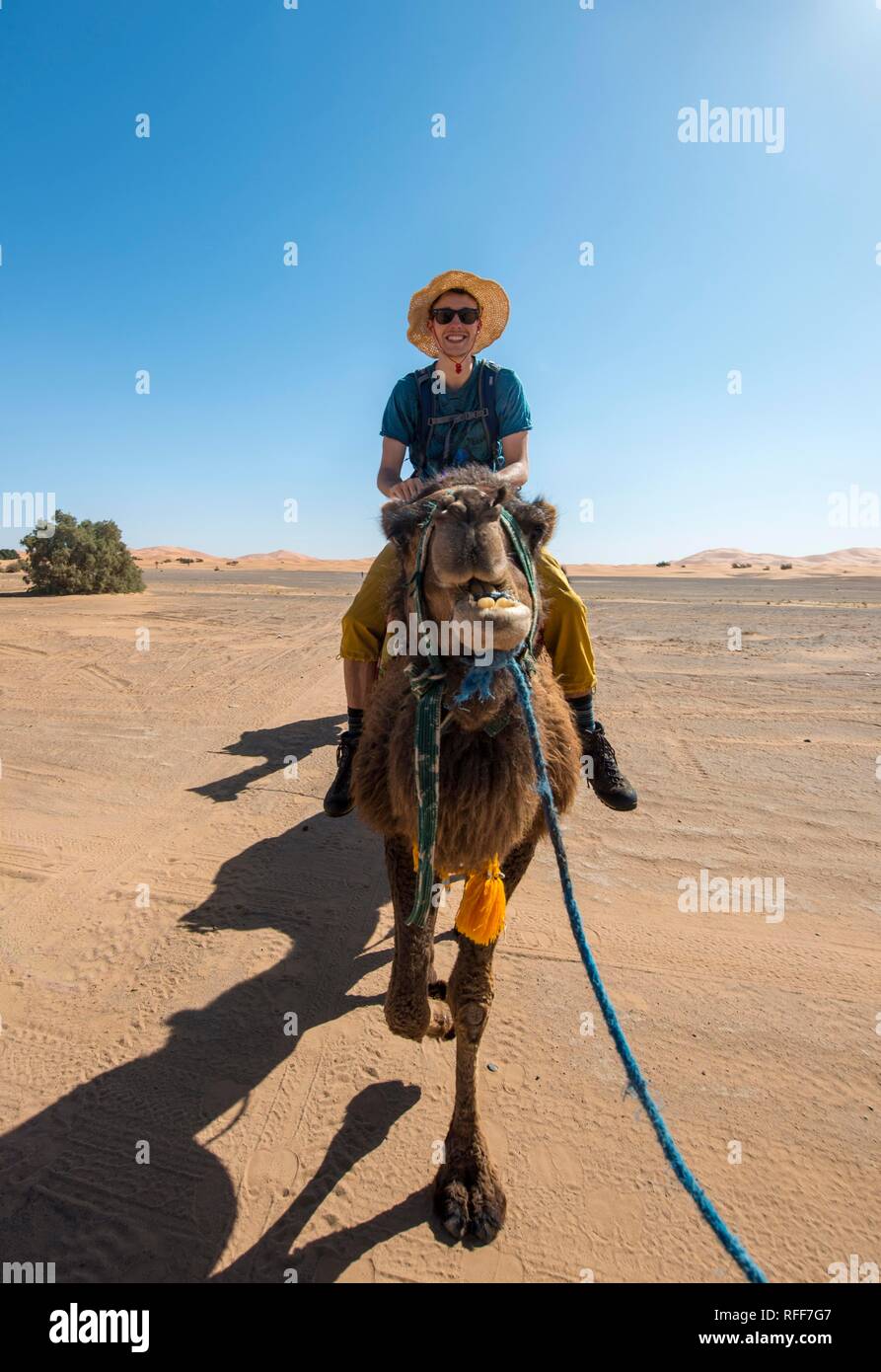 Giovane uomo a cavallo su un cammello, caravan con dromedario (Camelus dromedarius), Deserto Erg Chebbi, Merzouga, Sahara, Marocco Foto Stock