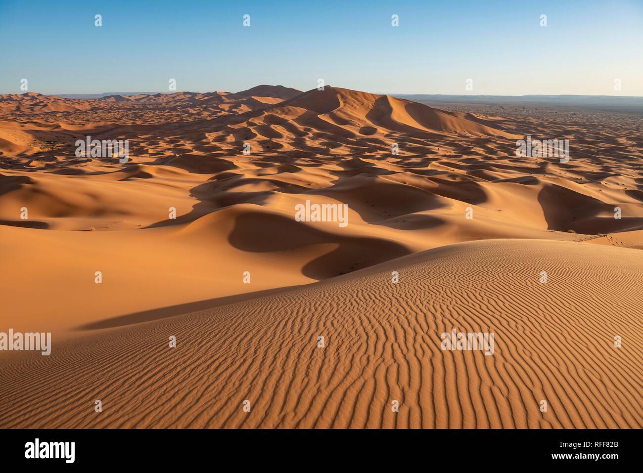 Le dune di sabbia del deserto, wave pattern nella sabbia, paesaggio di dune Erg Chebbi, Merzouga, Sahara, Marocco Foto Stock