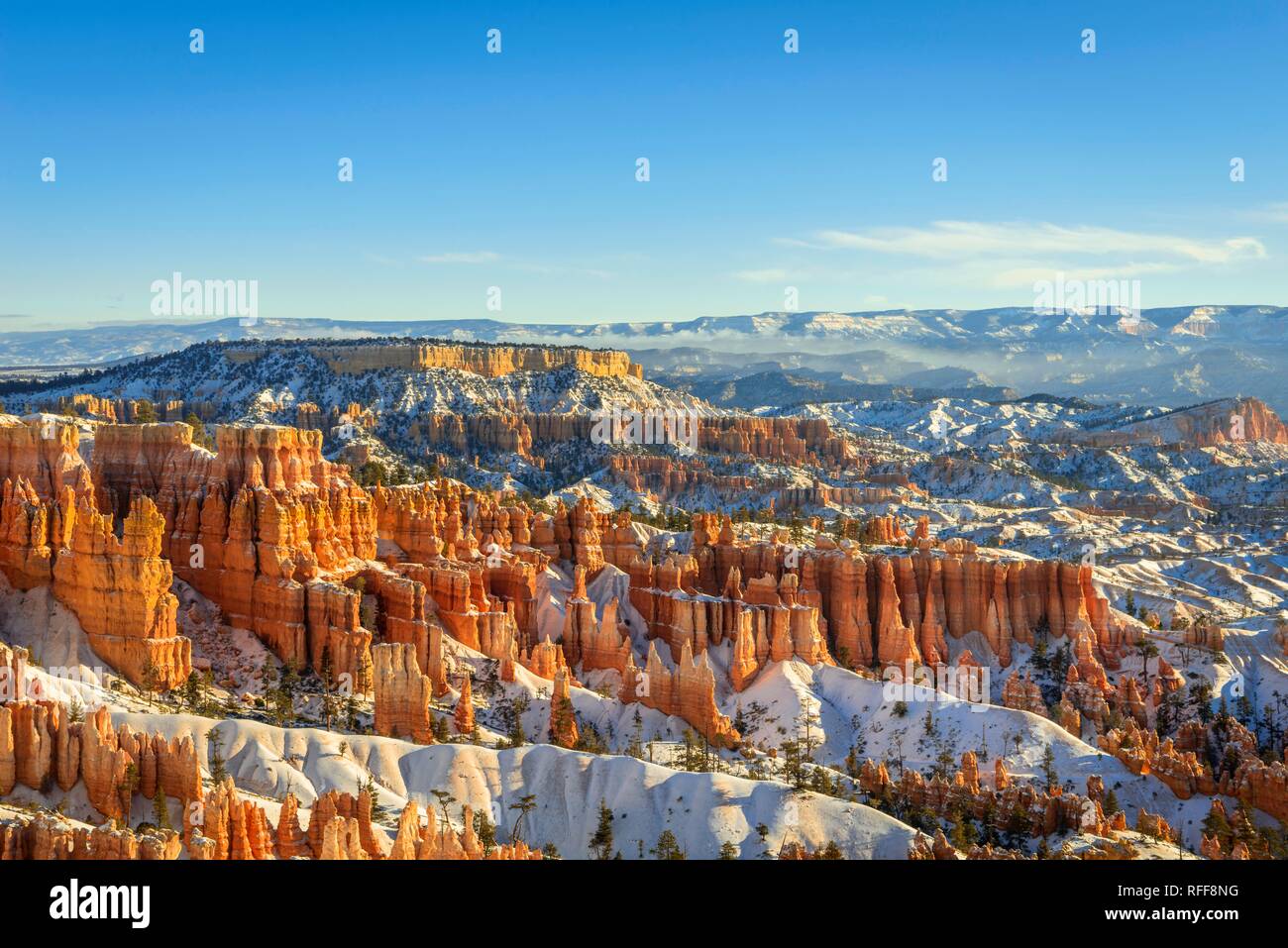 La luce del mattino, coperta di neve bizzarro paesaggio roccioso con Hoodoos in inverno, Sunset Point, Parco Nazionale di Bryce Canyon, Utah, Stati Uniti d'America Foto Stock