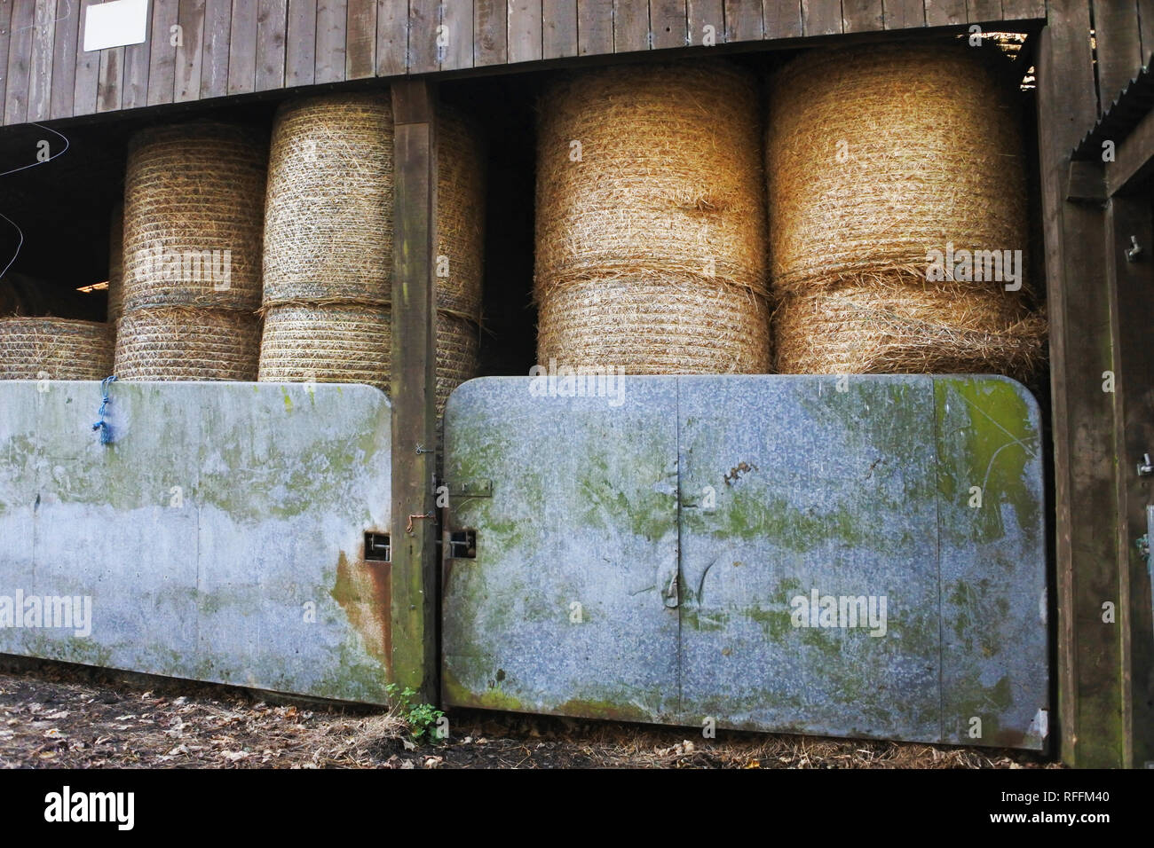 Balle di paglia memorizzati in una farm barn - Giovanni Gollop Foto Stock