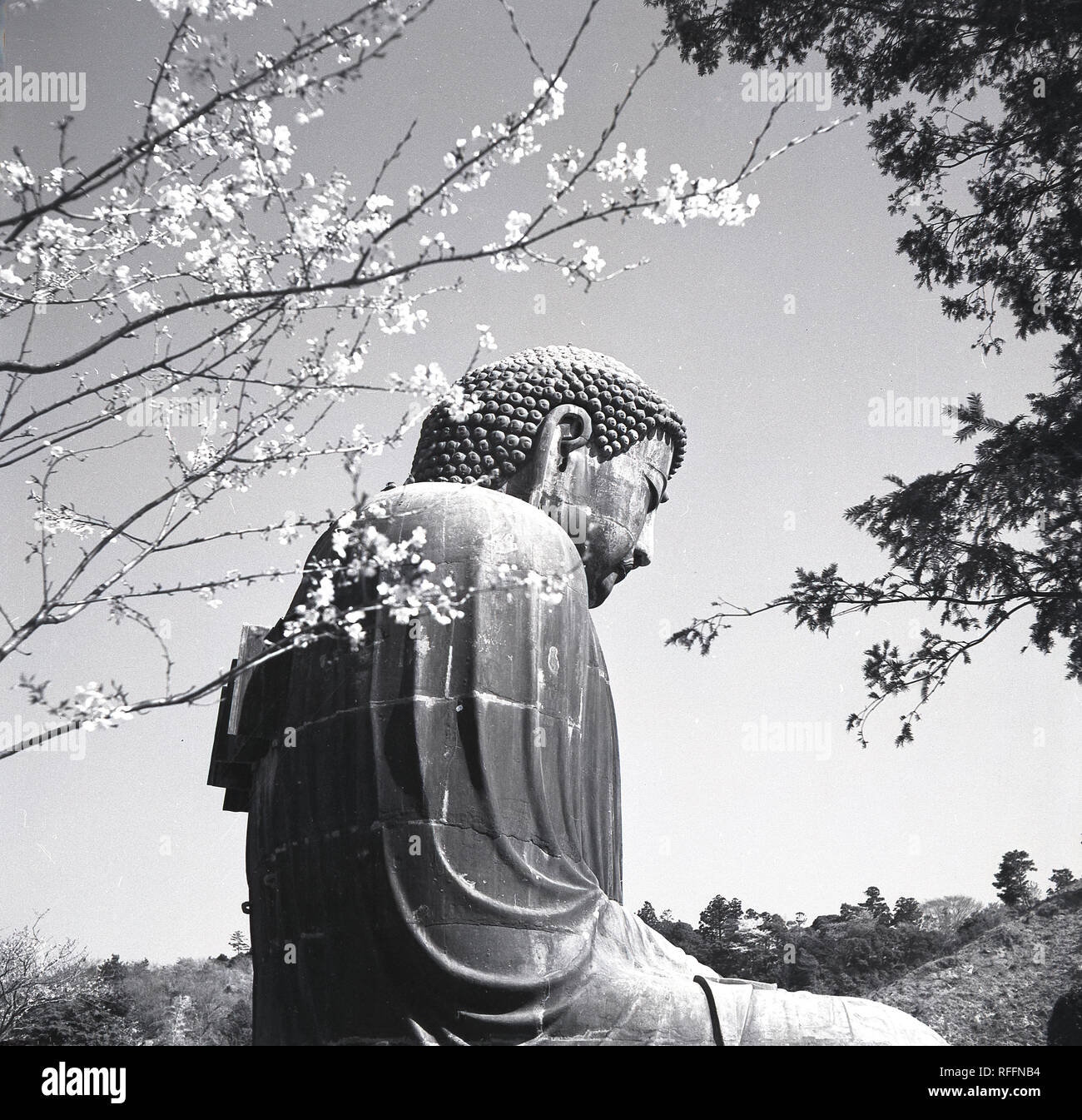 Degli anni Cinquanta, storico, vista dal lato del Grande Buddha (Daibutsu) statua al Kotoku-nel tempio di Kamakura, Prefacture Kanagawa, Giappone. Una grande piscina esterna statua in bronzo, è una delle più famose icone del paese risale al 1252. Foto Stock