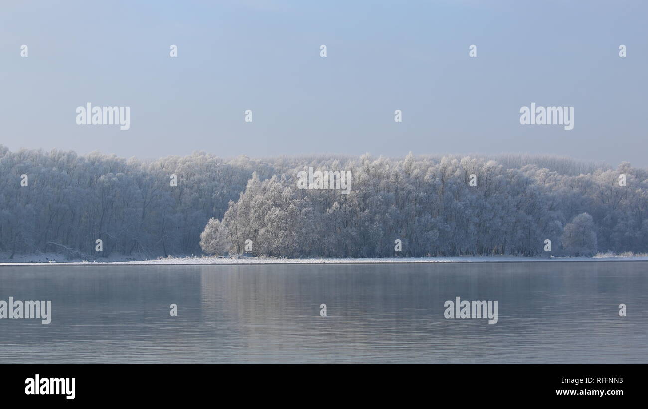 Frosty albero sulla piaga sul fiume Danubio in inverno.orario invernale sul fiume Danubio. Foto Stock