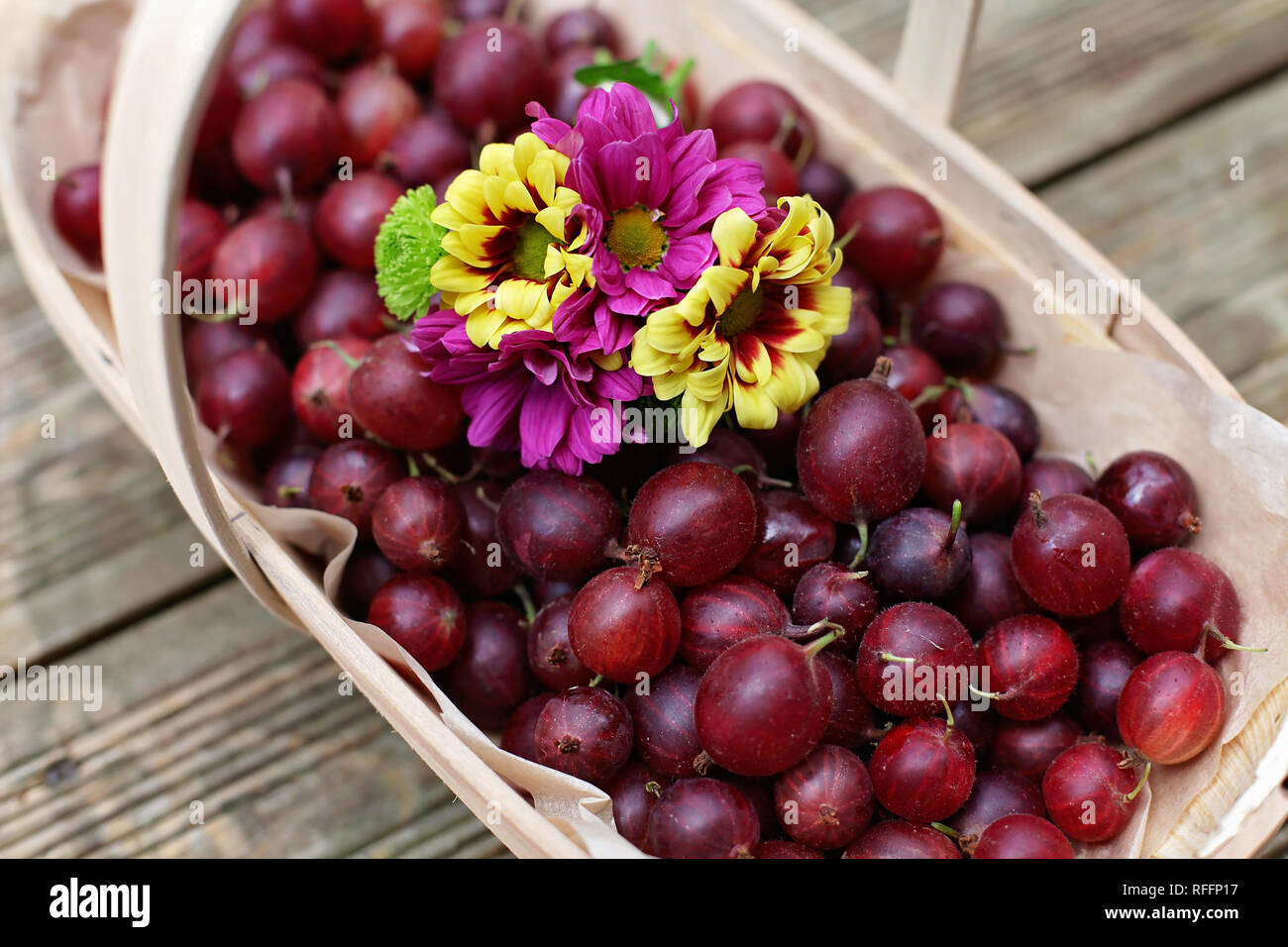 Rosso fresco Ribes dessert e fiori in una cestella di legno Foto Stock