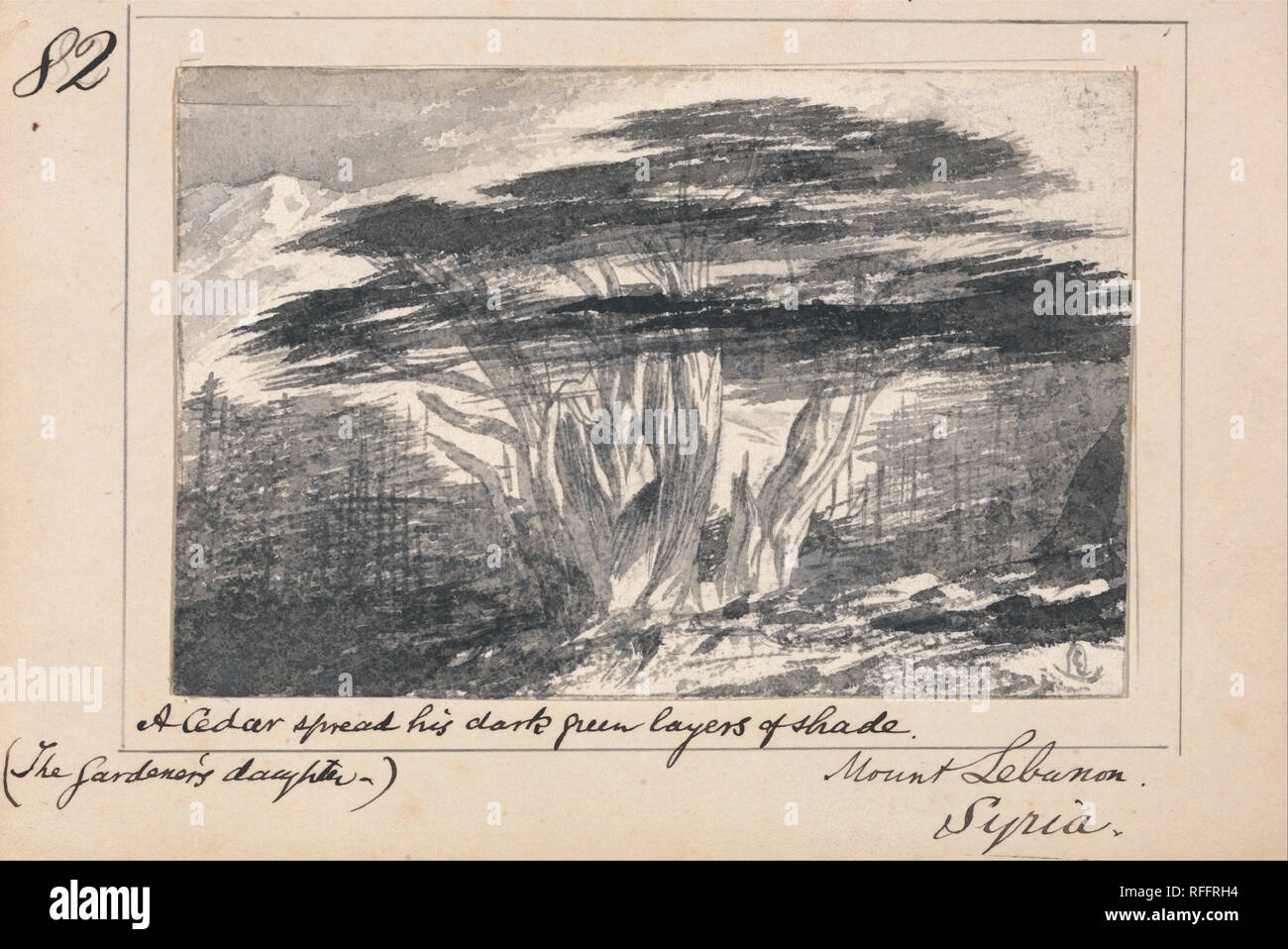 Illustrazione di Tennyson 'il giardiniere della figlia:' monte Libano,  Siria - 'un cedro diffondere il suo verde scuro di strati di ombra".  Paesaggio. Penna in bianco e nero e grigio con inchiostro