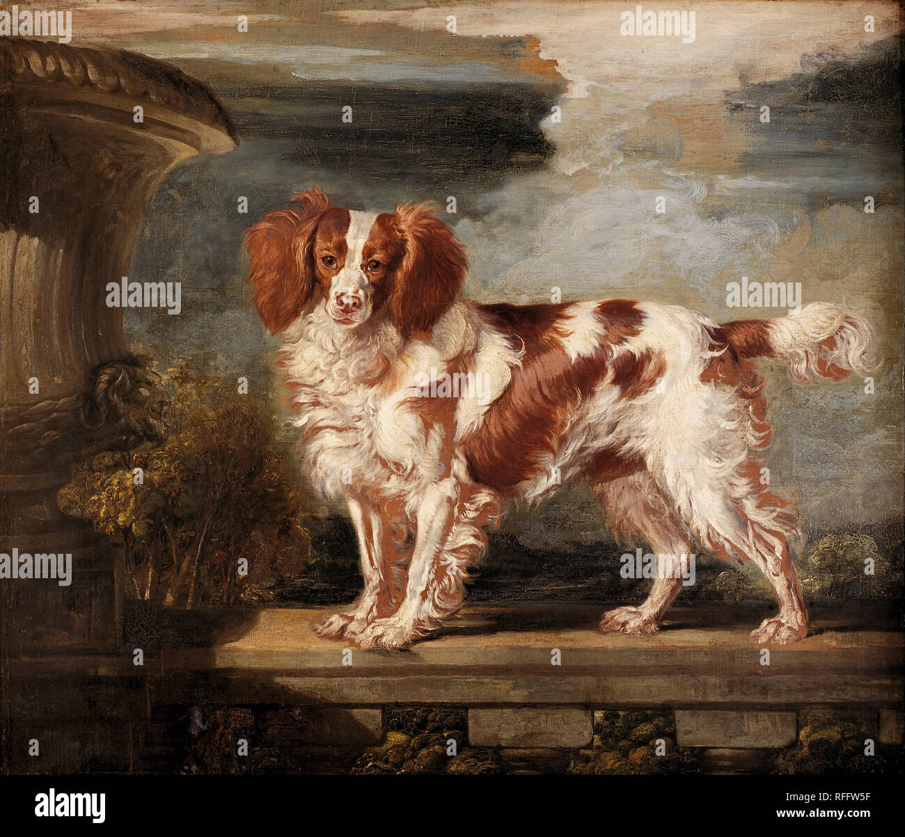 Ritratto di Dash, un Preferito Spaniel, di proprietà della signora Francesca Vane-Tempest. Data/Periodo: 1819. La pittura. Olio su tela. Altezza: 88.90 mm (3,50 in); larghezza: 104.10 mm (4,09 in). Autore: James Ward. Foto Stock