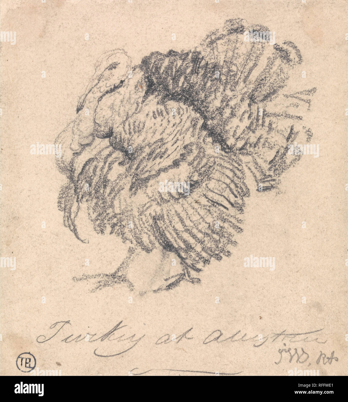 Studio di una Turchia. Disegno. Grafite su medie, liscio, beige carta intessuta. Altezza: 114 mm (4,48 in); larghezza: 105 mm (4.13 in). Autore: James Ward. Foto Stock