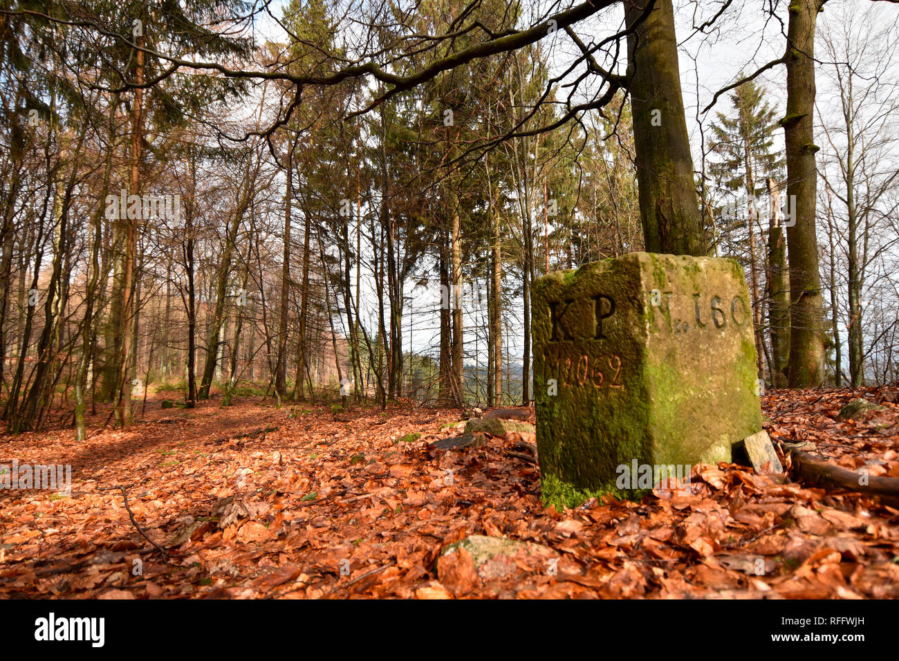 Storica pietra di confine, Wildenburger Kopf, Hunsrueck-Hochwald National Park, in Germania, in Renania Palatinato Foto Stock