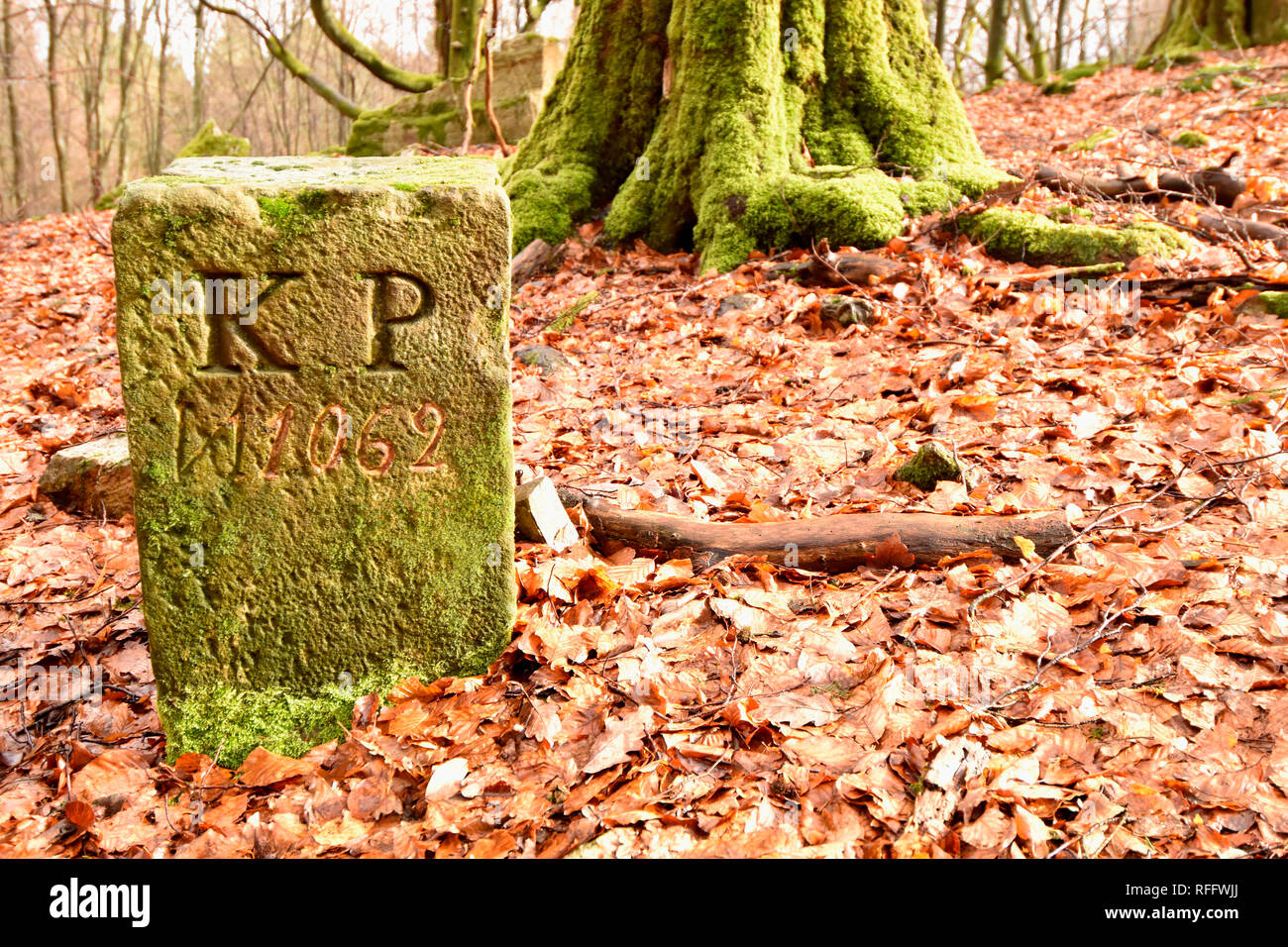 Storica pietra di confine, Wildenburger Kopf, Hunsrueck-Hochwald National Park, in Germania, in Renania Palatinato Foto Stock