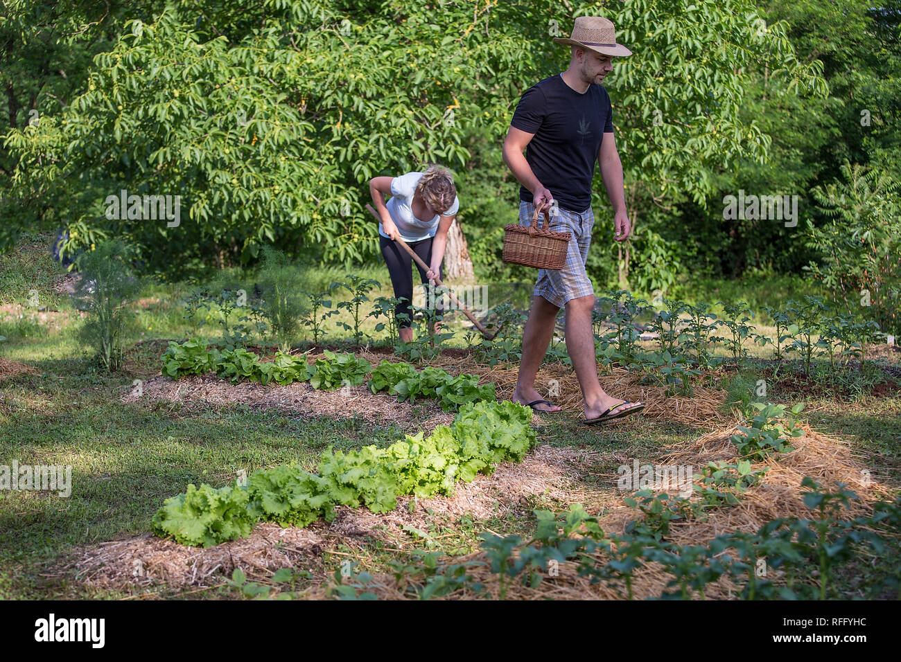 Giovane uomo e donna che lavorano in un cresciuto in casa giardino vegetale Foto Stock