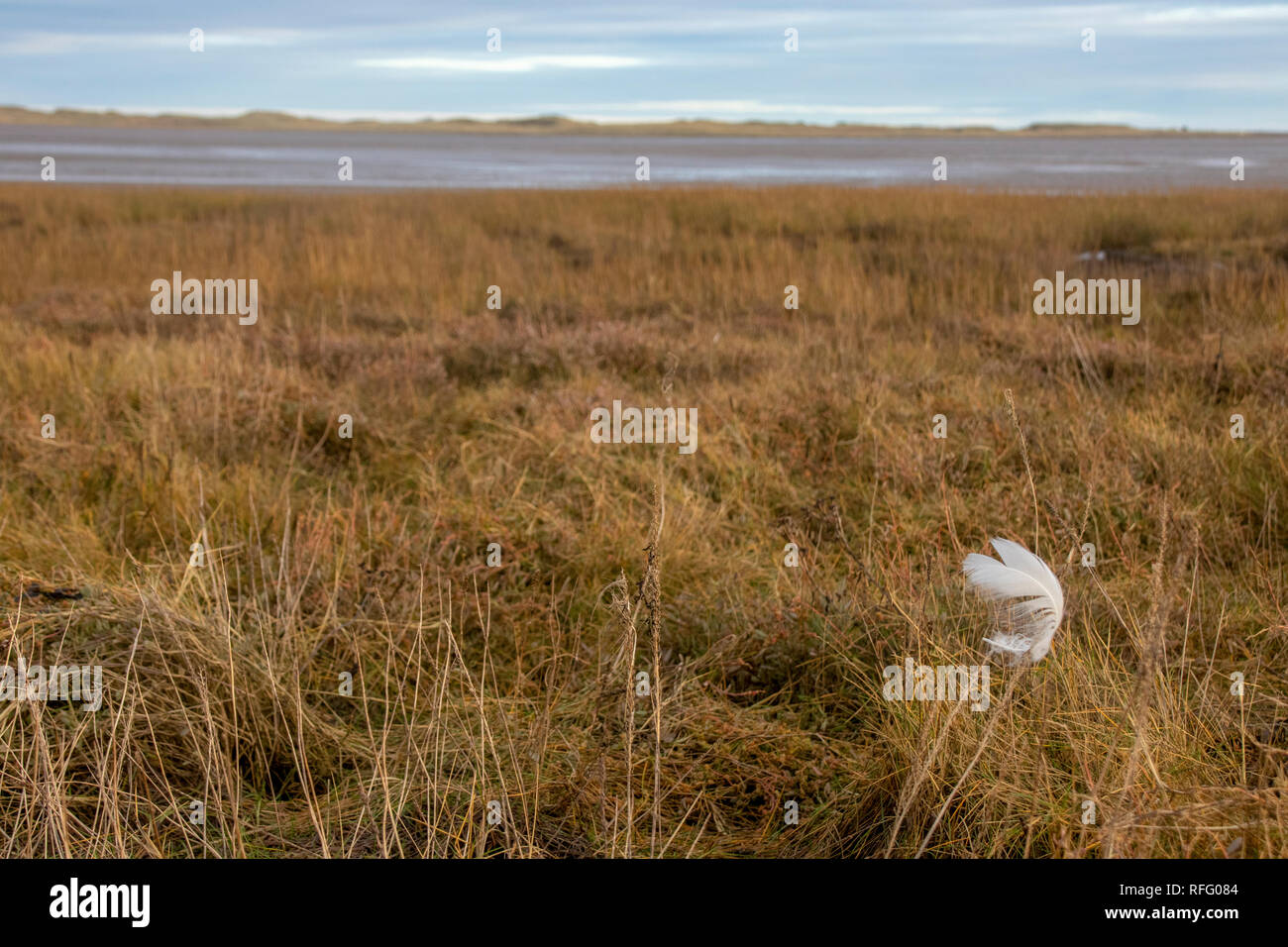 Vista di Lindisfarne dal nord est via costiera Foto Stock