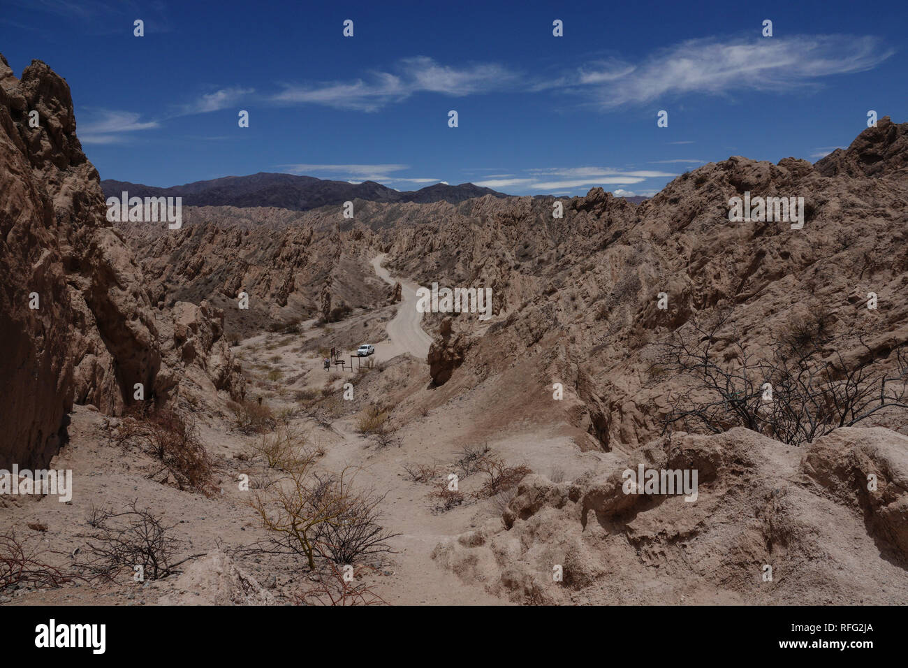 La valle delle frecce (Quebrada de las Flechas) sulla RN40 strada tra cachi e Cafayate reso famosa in Che Guevara nei suoi diari di motocicletta. Foto Stock